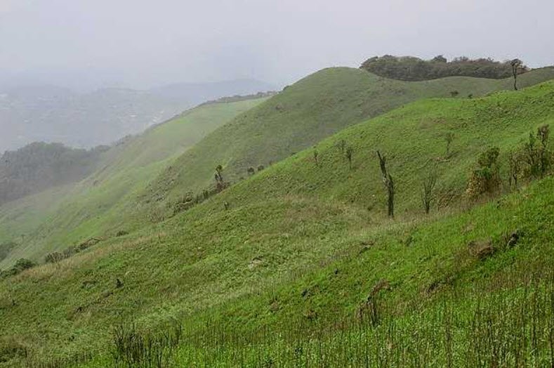 Shiroi National Park, Ukhrul, Manipur - Vushii.com